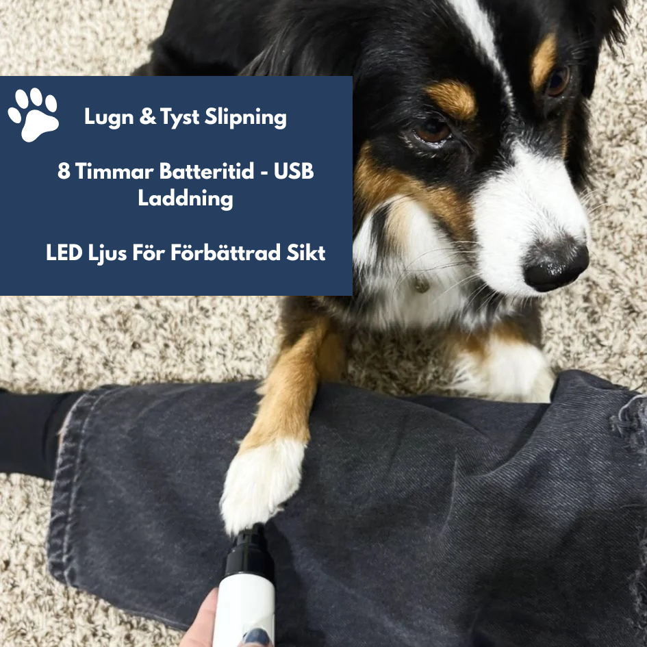 PawShine Pro - Vård som hunden förtjänar
